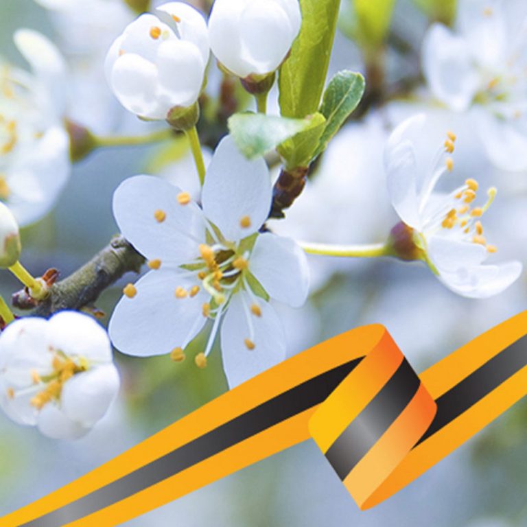 Поздравляем с праздниками!