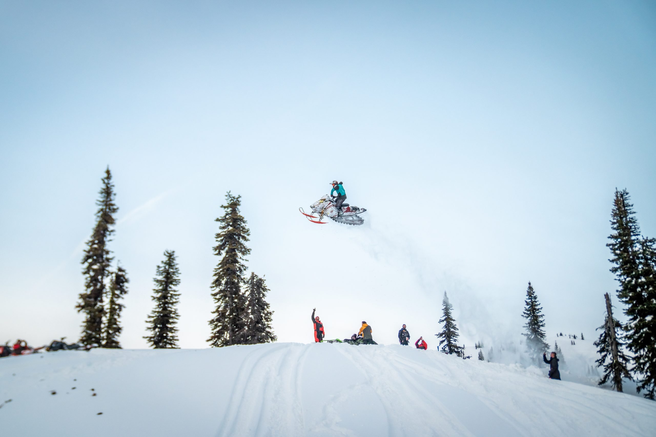 Arctic Cat, BRP Lynx, Polaris, Ski Doo, Yamaha